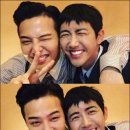 광희상사 데일리안