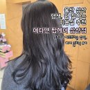 현대카클리닉 | 예다연탑헤어 삼산점 울산 삼산동 염색 잘하는 미용실 도아부원장 매트브라운 염색 타리카 모발클리닉 후기