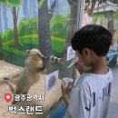 벅스 | 광주놀거리 만지고, 교감하고, 느끼는 실내 동물원 벅스랜드 이용후기(이용금액/주차정보)