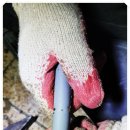 월평새뜸로 이미지