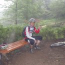 봉서산약수 이미지