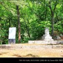 화담당 경화탑 이미지