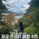 시가지 거리미관 개 | [체코여행4편] 신혼여행으로 떠난 10월 4박 5일 체코 프라하여행 3일차