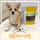 맘스마인드 트레이딩 | 강아지 동결건조 단일 단백질 사료 추천 프론티어 치킨