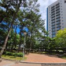 (주)파로스 관광호텔 | 한화리조트 대천 파로스 투숙후기(디럭스씨네마원룸호텔형)
