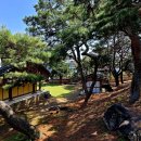 풍기향교 Daum카페