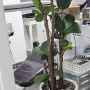 서울착한치과의원 이미지