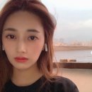 미모미모 이미지