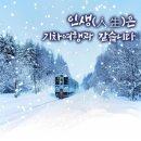 인셀덤 늘해랑
