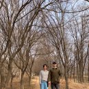 광주시민의숲 야영장 이미지