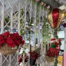 쓰리고 쑈 | 안양 평촌 학원가 맛집 - 포위치 Pho Witch, 안양 쌀국수 맛집, 평촌 쌀국수 맛집, 안양 베트남 쌀국수...