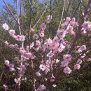 화수목 농원 이미지