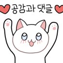 향촌왕족발 - 부천시 오정구 삼작로 376 | 향촌왕족발