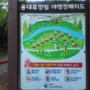용대 | 강원도 인제 캠핑장 추천, 용대자연휴양림 체험후기