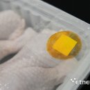 신선도 이미지
