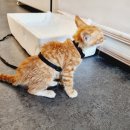 누리식당 이미지