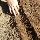 도연농장 이미지