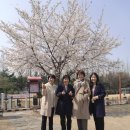 보나오라 | 제92회 견생독모 후기