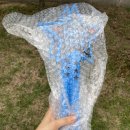 해피트롯콘서트 이미지