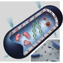 국내 유일 방범용 방범방충망 셉테드 통과제품 ~~ 손해 보험 회사도 인정 한 제품=방범+어린이추락방지+항균(세균)95%이상+벌레방지+도난보험 3,000만원 보장 이미지