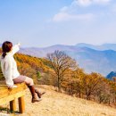 소나무 흑염소 목장 이미지