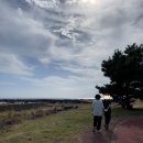 일주서로731번길 | 강정포구 바당길 산책, 이마트 서귀포점 쇼핑, 필라테스 연 등록