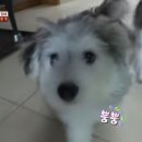 서야농장 이미지