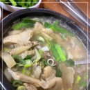 신기순대 티스토리