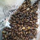 음양2리 이미지