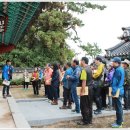 솔숲갈래길 | 다저녁에 다대포 몰운대에 간 까닭은