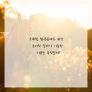 대신열쇠 - 포항시 북구 중앙로 383 | 대신열쇠