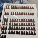 4082 | 송도 매트브라운염색 염색잘하는 미용실 '잇키' 혜림디자이너