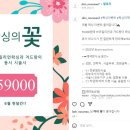 스킨누보세븐 이미지