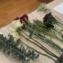 미즈산후조리원 이미지