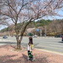 원정곡 | 라팍 외야지정석 RF4 구역 시야 원정팬 홈팬 비율과 필수 준비물