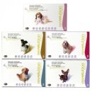 건강한마을약국 이미지