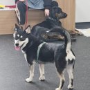 개네집 곳간 이미지