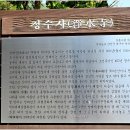 강진-32 이미지