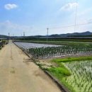 청통농장 이미지