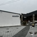 에코토 | 경주 카페 에코토 내돈내산 후기 | 황리단길 야외테라스