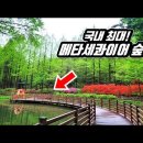 장태산휴양림 이미지