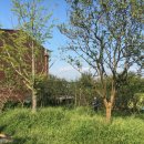 본당보건진료소 이미지