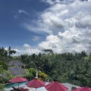 티리조트2 | 발리 우붓 외곽 리조트 2박 후기 | 푸리 세발리 리조트에서 완전히 쉬어보기