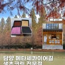 메타길(이동식) | [담양 가을 여행코스] 메타세쿼이아길 단풍 산책부터 메타프로방스 쓖 생초콜릿까지