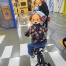 송파안전체험교육관 이미지