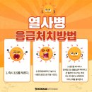 노형골프
