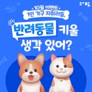 동물다방 이미지