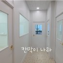 초롱초등학교 이미지