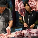 농축산정육점