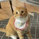 양재(주간) 이미지